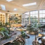 Фотография гостиницы Embassy Suites Phoenix - Biltmore