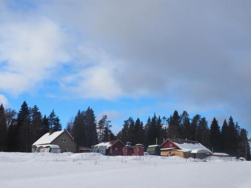 Фотография базы отдыха Хутор Ёлки