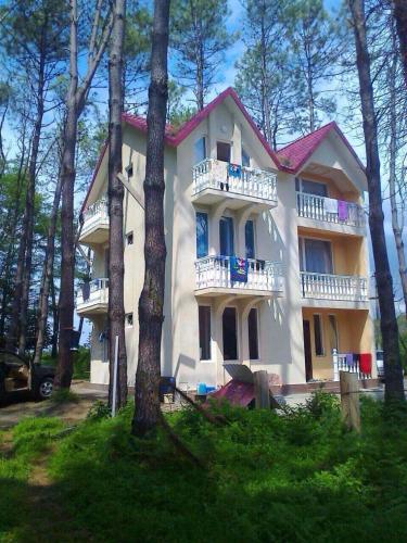 Фотография хостела Black sea