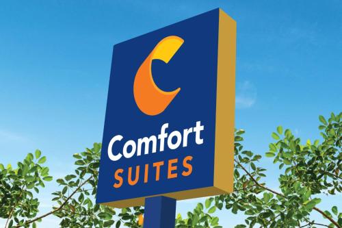 Фотографии гостиницы 
            Comfort Suites Gainesville Near University