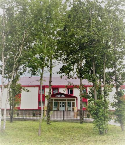 Фотография гостиницы Аэроотель