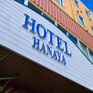 Фотографии гостиницы 
            Hotel Hanaya