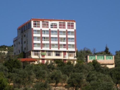 Фотографии гостиницы 
            Ajloun Hotel