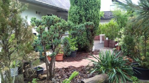 Фотография гостевого дома Pension Mark