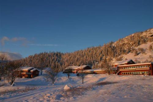 Фотографии гостиницы 
            Grønolen Fjellgard