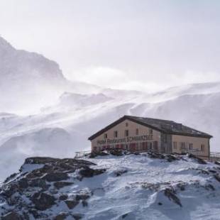 Фотографии гостиницы 
            Hotel Schwarzsee