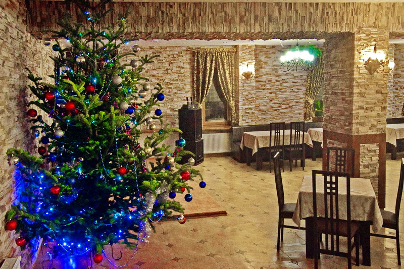 Фотография гостиницы Дриада