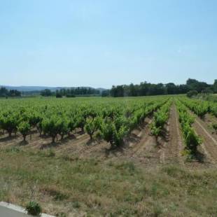 Фотографии гостевого дома 
            La Vigne