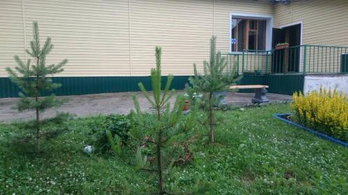 Фотография гостевого дома Радуга