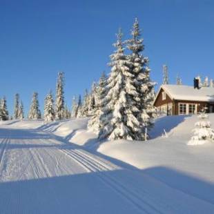 Фотографии гостевого дома 
            Tores hytte på Sjusjøen