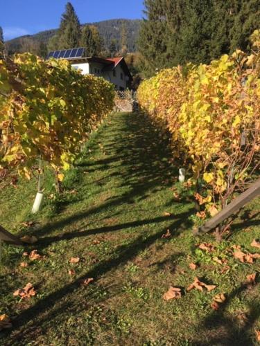 Фотография гостевого дома Ferienhaus Feil