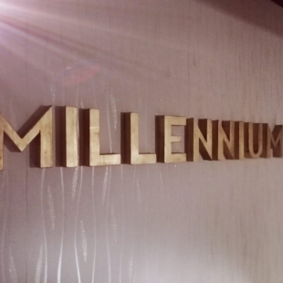 Фотография мини отеля MILLENNIUM