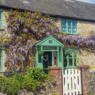 Фотография гостевого дома 2 Wisteria Cottages, Chard