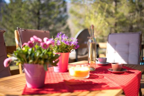 Фотография гостевого дома PR'Vili Rozi