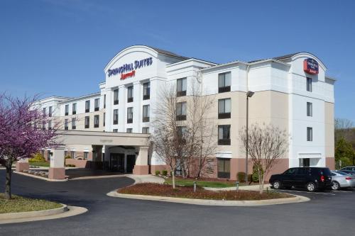 Фотография гостиницы SpringHill Suites by Marriott Lynchburg Airport/University Area