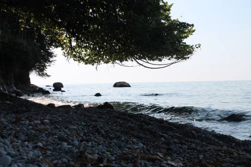 Фотография гостевого дома Guest House Roxi