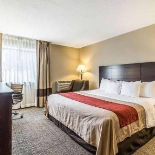 Фотографии гостиницы 
            Comfort Inn Lansing