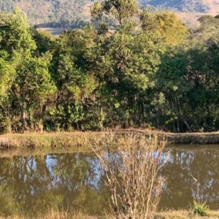 Фотография гостевого дома Casa ampla em meio a colinas - 24km de Monte Verde