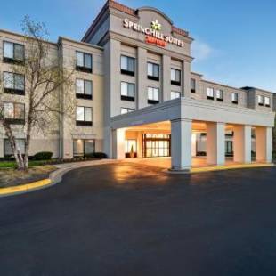 Фотографии гостиницы 
            SpringHill Suites by Marriott Baltimore BWI Airport