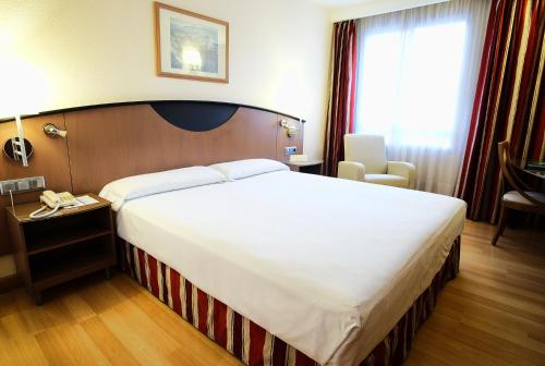 Фотография гостиницы Hotel Albret