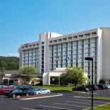 Фотография гостиницы Westchester Marriott