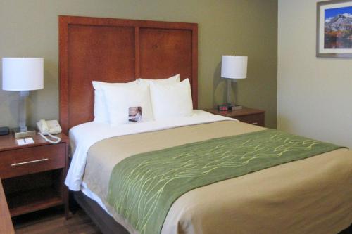 Фотография гостиницы Comfort Inn Bishop