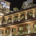 Фотография гостиницы Pinegrove Hotel