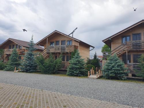 Фотография гостевого дома Daiana Residence Cabane