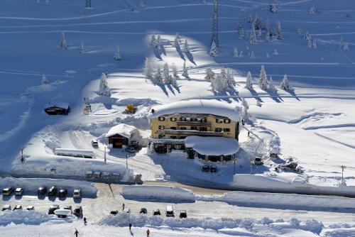 Фотографии гостиницы 
            Hotel Dolomiti