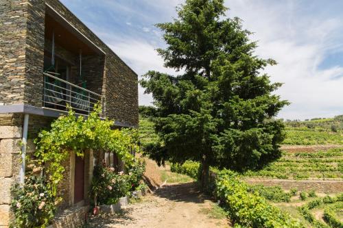 Фотография гостевого дома Teoria Guest House