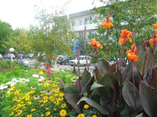 Фотография санатория Ахтуба