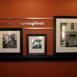 Фотография гостиницы Hampton Inn & Suites, Springfield SW