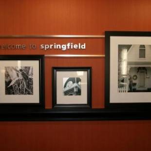 Фотографии гостиницы 
            Hampton Inn & Suites, Springfield SW