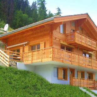 Фотографии гостевого дома 
            Stunning Mountain View Chalet and Jacuzzi in Les Collons