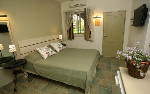 Фотография гостиницы Shaar Hagolan Kibbutz Country Lodging