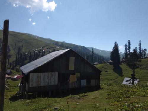 Фотография гостиницы Бахмаро