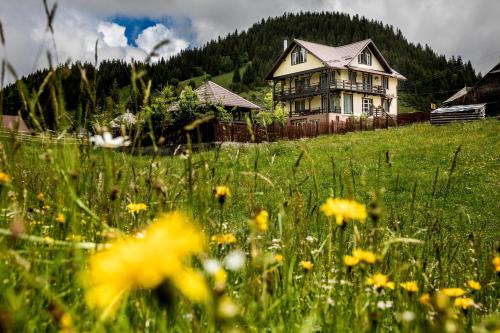 Фотографии гостевого дома 
            CASA CERBUL