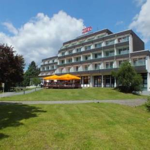 Фотографии гостиницы 
            Parkhotel Olsberg