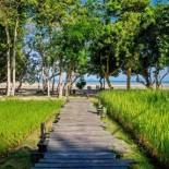 Фотография гостиницы Koh Yao Yai Village - SHA Extra Plus