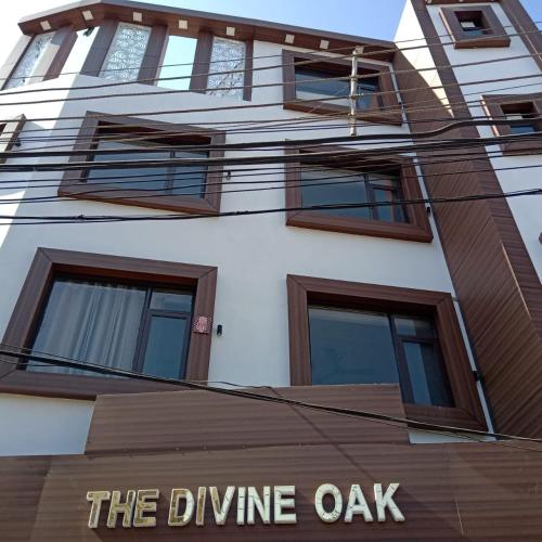 Фотографии гостиницы 
            The Divine Oak