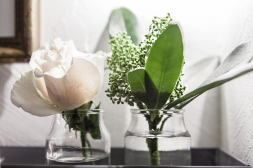 Фотография гостиницы Hotel Cervetta 5