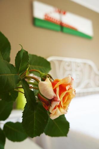 Фотография гостевого дома Alexander Rooms