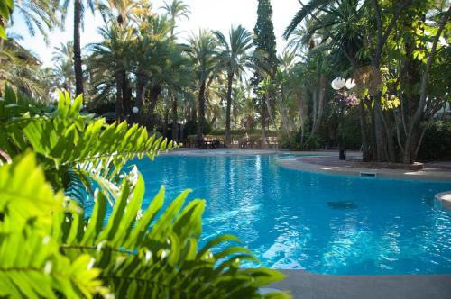 Фотография гостиницы Huerto del Cura