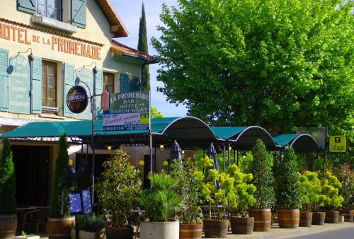 Фотография гостиницы Hôtel Restaurant La Promenade