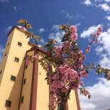 Фотография гостиницы Mirador El Silo