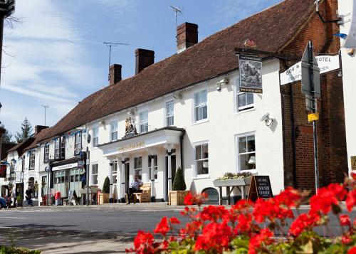 Фотография гостиницы The Dog & Bear Hotel