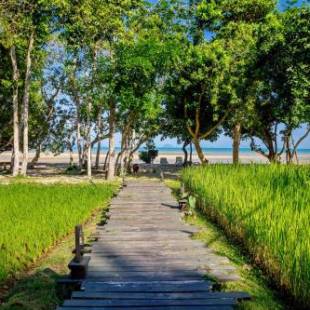 Фотографии гостиницы 
            Koh Yao Yai Village - SHA Extra Plus