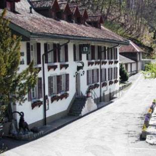 Фотографии гостиницы 
            Historic Hotel Steinbock