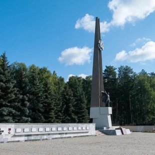 Фотография памятника Памятник Воину-Освободителю