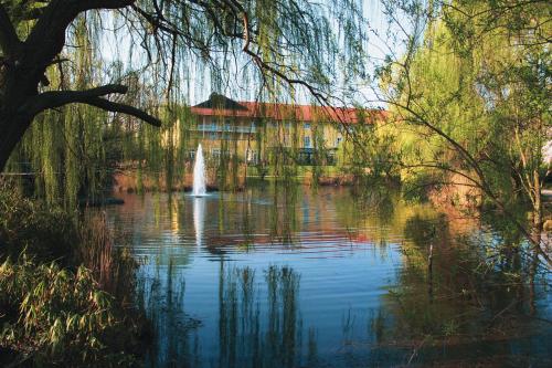 Фотография гостиницы MAXX by Steigenberger Deidesheim